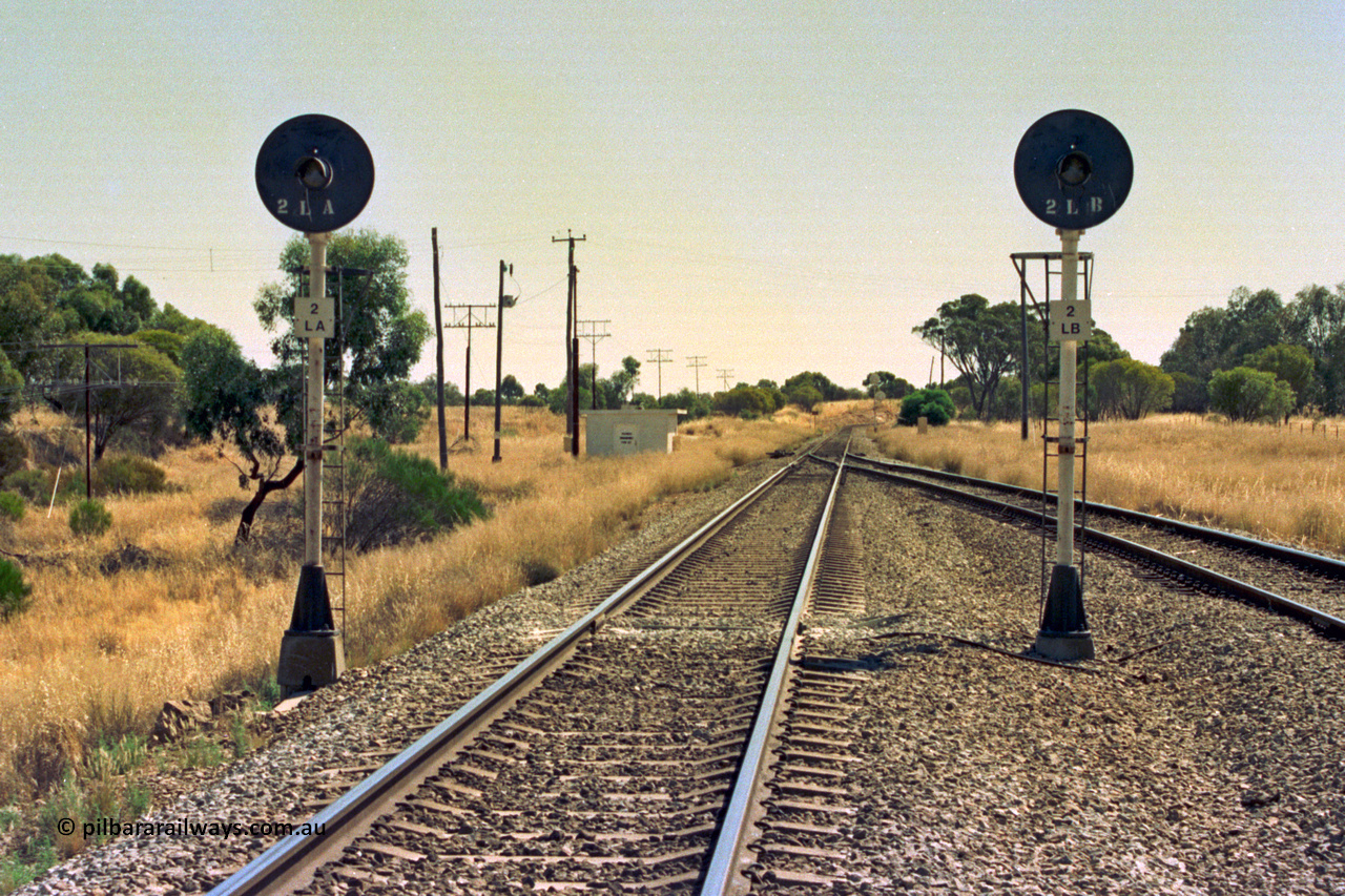 202-05
Meckering, looking west towards Grass Valley and Perth, the Up departure CTC signals, 2 LA for the main and 2 LB for the loop.
