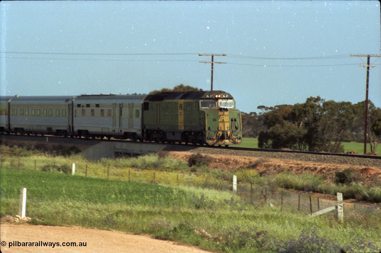 216-03
Long Plains, the down passenger train to Alice Springs 'The Ghan' on approach with power from an AN livered DL class DL 37 Clyde Engineering EMD model AT42C serial 88-1245.
Keywords: DL-class;DL49;Clyde-Engineering-Kelso-NSW;EMD;AT42C;89-1268;