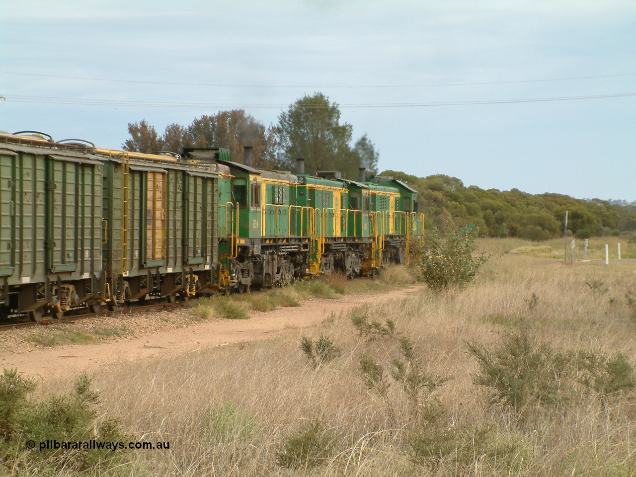 030407 082321
Wudinna, empty grain train shunts forward with a trio of former Australian National locomotives with rebuilt former AE Goodwin ALCo model DL531 830 class ex 839, serial 83730, rebuilt by Port Augusta Workshops to DA class, DA 4 leading two AE Goodwin ALCo model DL531 830 class units 842, serial 84140 and 851 serial 84137, 851 having been on the Eyre Peninsula since delivered in 1962, to shunt off empty waggons into the grain siding. 7th April 2003.
Keywords: DA-class;DA4;83730;Port-Augusta-WS;ALCo;DL531G/1;830-class;839;rebuild;