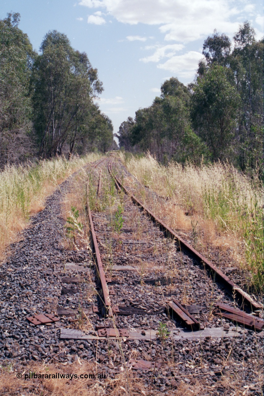 118-15
Tocumwal line, track view, looking south from bridge in shot 118-13 and -14, line out of service. [url=https://goo.gl/maps/Hvzxa15CUzFiCYKL6]Geo data[/url].
