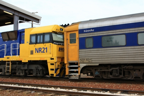 100605 9143
Parkeston, Pacific National RZDY type crew accommodation car RZDY 100 'MOPOKE', started life as a Bluebird railcar driving trailer built by South Australian Railways Islington Workshops in 1955 as Mopoke. In 1986 coded 100, then to 107, in 2001 renumbered 100 and named 'Cabernet'. Converted to crew car for Pacific National as RZDY in 2006 at Islington workshops.
Keywords: RZDY-type;RZDY100;SAR-Islington-WS;Bluebird;Mopoke;Cabernet;