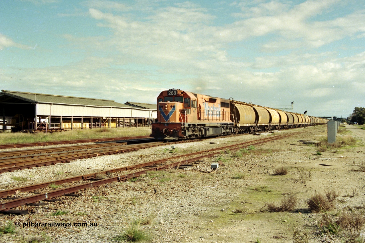 186-05
Midland, empty standard gauge down grain train 051 powers along behind Westrail L class locomotive L 268 Clyde Engineering EMD model GT26C serial 68-617 with forty WW and WWA type bogie grain waggons.
Keywords: L-class;L268;Clyde-Engineering-Granville-NSW;EMD;GT26C;68-617;