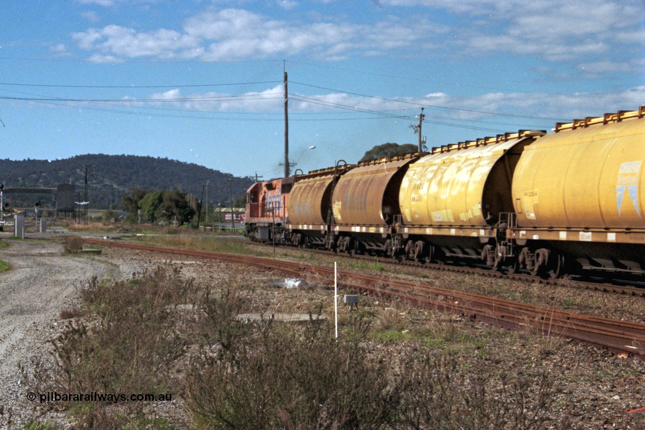 186-06
Midland, empty standard gauge down grain train 051 powers along behind Westrail L class locomotive L 268 Clyde Engineering EMD model GT26C serial 68-617 with forty WW and WWA type bogie grain waggons, trailing view.
Keywords: L-class;L268;Clyde-Engineering-Granville-NSW;EMD;GT26C;68-617;