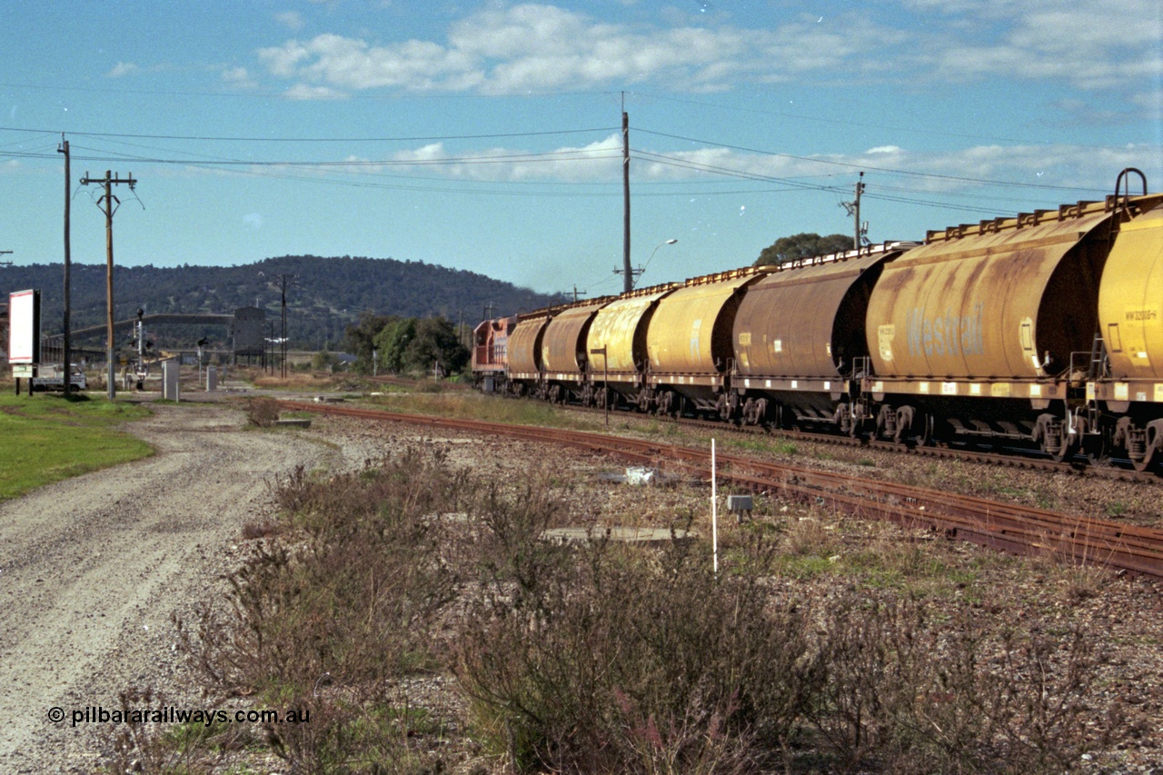 186-07
Midland, empty standard gauge down grain train 051 powers along behind Westrail L class locomotive L 268 Clyde Engineering EMD model GT26C serial 68-617 with forty WW and WWA type bogie grain waggons, trailing view.
