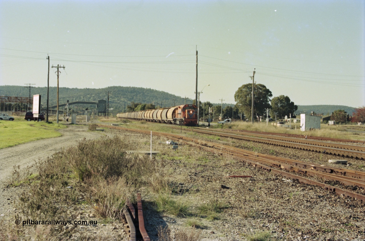 200-31
Midland, loaded standard gauge grain train behind Westrail L class L 264 Clyde Engineering EMD model GT26C serial 68-554 crossing Lloyd Street grade crossing 0940 hrs 24th June 1997.
Keywords: L-class;L264;Clyde-Engineering-Granville-NSW;EMD;GT26C;68-554;