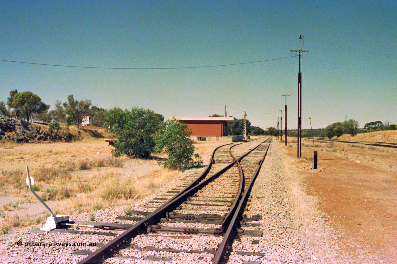 202-03
Meckering, looking east along the goods siding with the good shed loop points, shed and crane in the distance.
