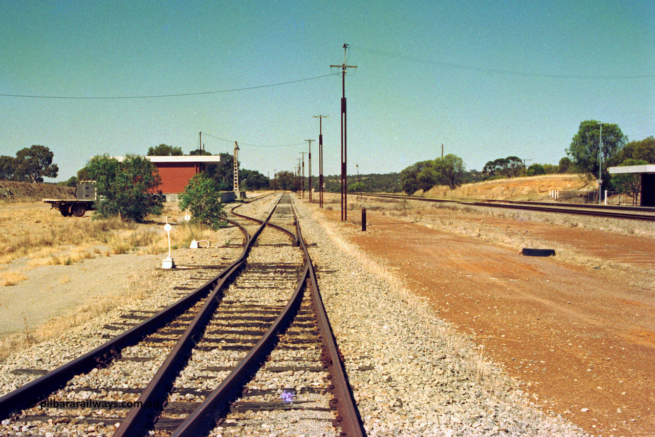 202-19
Meckering, looking east with the grain siding joining the goods loop, then with the goods siding branching off to the left, goods shed and crane on the left, station just visible on the right.
