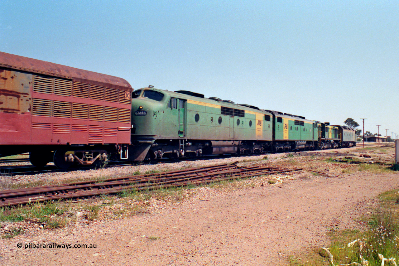 217-15
Peterborough, an SP Perth bound having crossed Sliver Street behind the AN liveried quad combination of CL class Bulldog CL 11 Clyde Engineering EMD model AT26C serial 71-739, 600 class 605 AE Goodwin ALCo model DL541 serial G6015-4, and GM class Bulldogs GM 43 Clyde Engineering EMD model A16C serial 67-529 and GM 46 serial 67-532 powers away west with the station building in the background.
Keywords: GM-class;GM46;Clyde-Engineering-Granville-NSW;EMD;A16C;67-532;