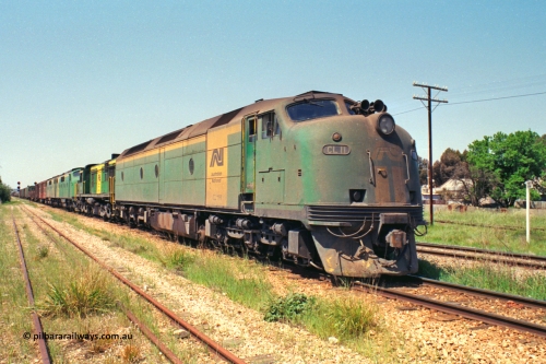 217-10
Peterborough, an SP Perth bound service awaiting line clear behind the AN liveried quad combination of CL class Bulldog CL 11 Clyde Engineering EMD model AT26C serial 71-739, 600 class 605 AE Goodwin ALCo model DL541 serial G6015-4, and GM class Bulldogs GM 43 Clyde Engineering EMD model A16C serial 67-529 and GM 46 serial 67-532.
Keywords: CL-class;CL11;Clyde-Engineering-Granville-NSW;EMD;AT26C;71-739;bulldog;