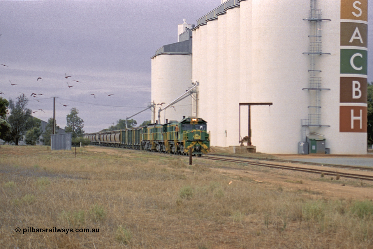 245-12
Wudinna, north bound empty grain train arrives behind a trio of former Australian National locomotives with rebuilt former AE Goodwin ALCo model DL531 830 class ex 839, serial 83730, rebuilt by Port Augusta Workshops to DA class, DA 4 leading two AE Goodwin ALCo model DL531 830 class units 842, serial 84140 and 851 serial 84137, 851 having been on the Eyre Peninsula since delivered in 1962, to shunt off empty waggons into the grain siding. 7th April 2003.
Keywords: DA-class;DA4;83730;Port-Augusta-WS;ALCo;DL531G/1;830-class;839;rebuild;