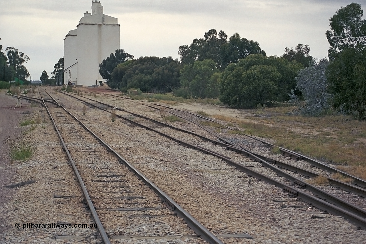 245-34
Minnipa yard looking in the up direction from the down end, on the left is goods siding #1, mainline to Port Lincoln, goods siding #2 and goods siding #3 on the right. 7th April, 2003.
