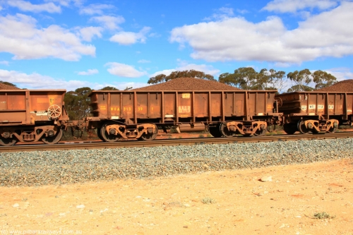 100731 02881
WOA type iron ore waggon WOA 31339 is one of a batch of thirty nine built by WAGR Midland Workshops between 1970 and 1971 with fleet number 217 for Koolyanobbing iron ore operations, with a 75 ton and 1018 ft³ capacity, on loaded train 7415 at Binduli Triangle, July 31, 2010.
Keywords: WOA-type;WOA31339;WAGR-Midland-WS;