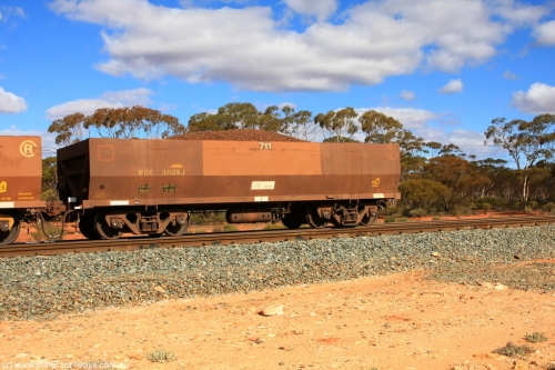 100731 02948
WOE type iron ore waggon WOE 31129 is one of a batch of one hundred and thirty built by Goninan WA between March and August 2001 with serial number 950092-119 and fleet number 711 for Koolyanobbing iron ore operations, on loaded train 7415 at Binduli Triangle, July 31, 2010.
Keywords: WOE-type;WOE31129;Goninan-WA;950092-119;