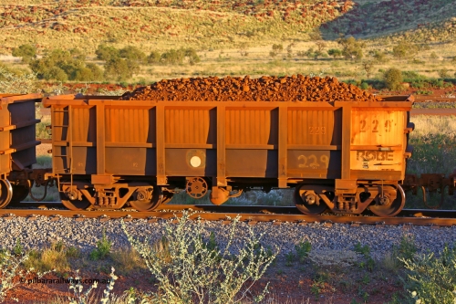 0229 170513 8699
Robe River ore waggon 229, built by Nippon Sharyo Nihon, handbrake side loaded view, Cape Lambert yard, May 13, 2017.
Keywords: 229;Nippon-Sharyo-Nihon;Robe-ore-waggon;