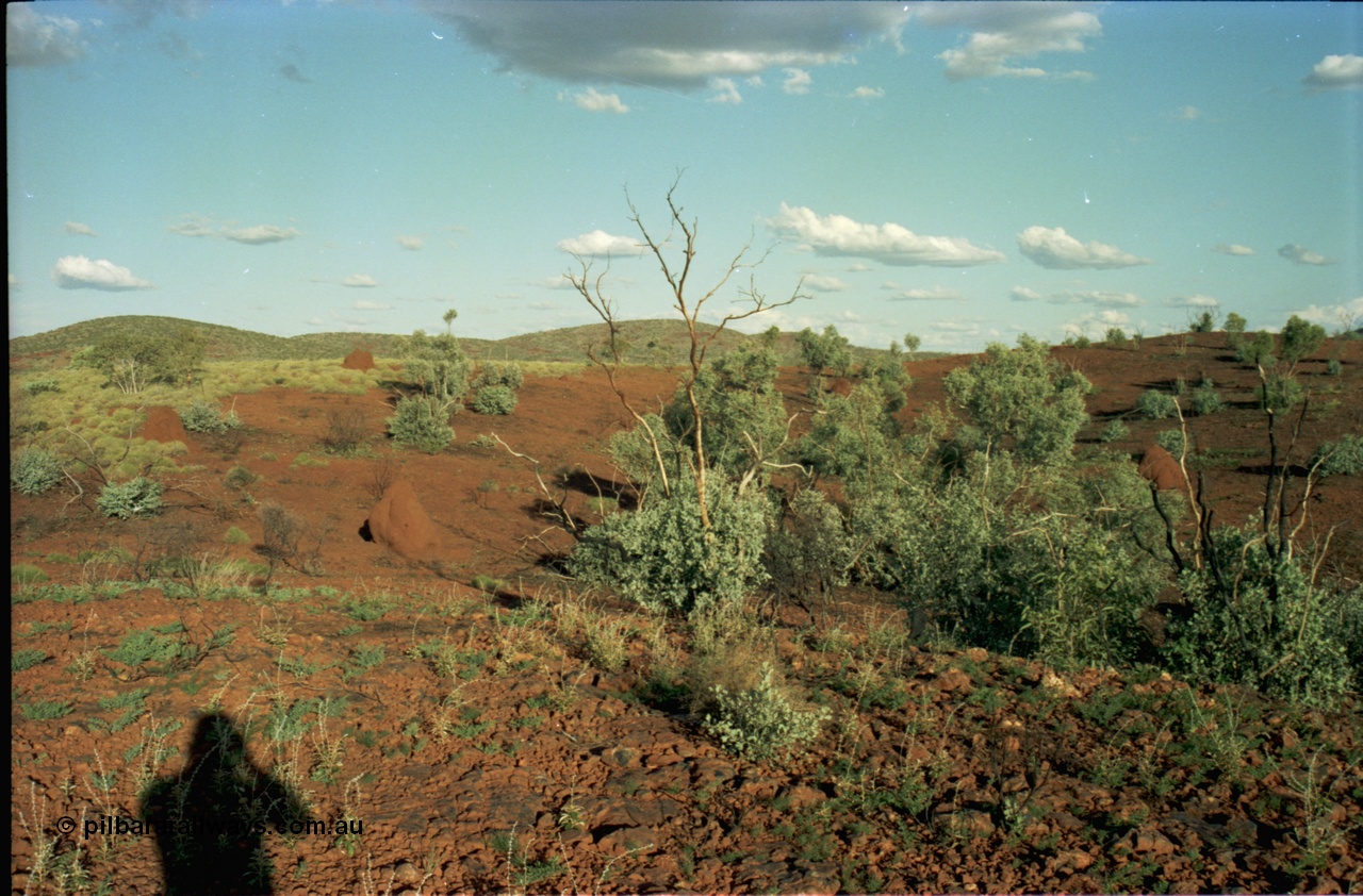 195-10
Wittenoom, top of Bee Gorge, snappy gums and ant hills.
