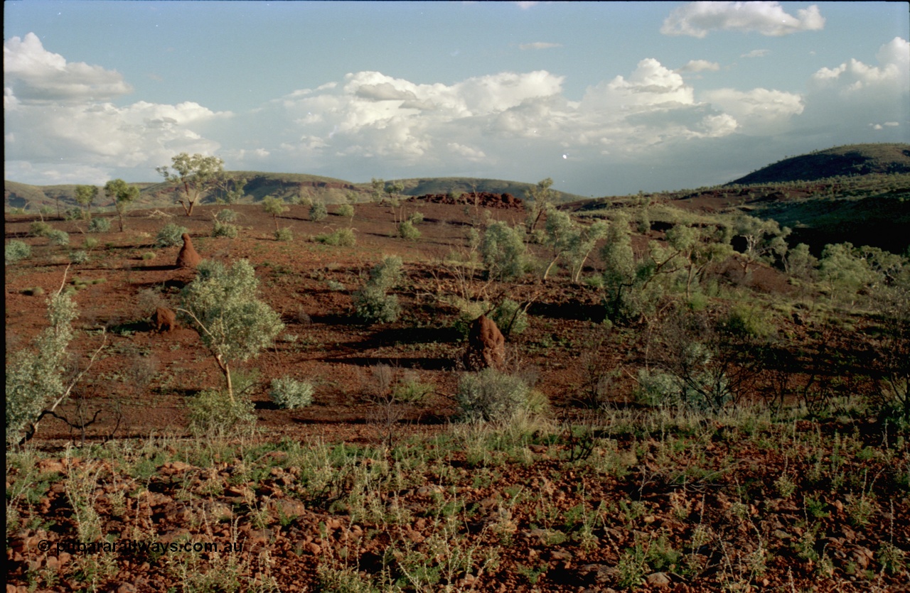 195-11
Wittenoom, top of Bee Gorge, snappy gums and ant hills.
