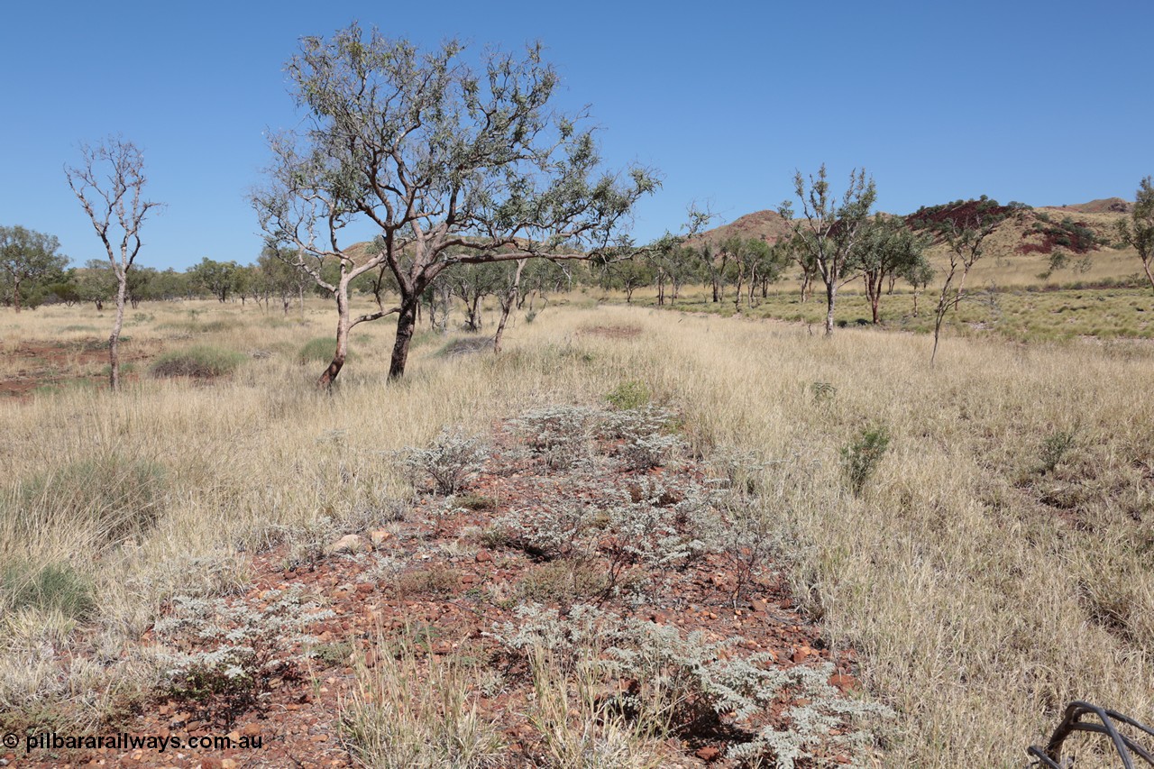 140517-4327
Eginbah Siding area, of the Marble Bar railway, looking towards Marble Bar along the alignment. [url=https://goo.gl/maps/hEYQTG5P4N72]Location here[/url].
