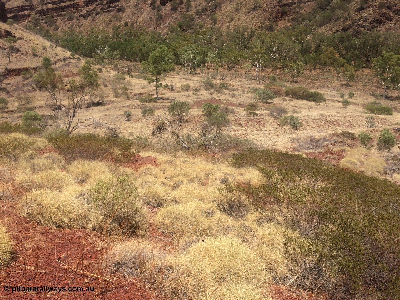 160101 2297
Wittenoom Gorge, location of former power station, shows tree growing through old foundations in the middle background, looking north west from approx. engine hall location, geodata: [url=https://goo.gl/maps/Y78Egje7Lt52] -22.3222583 118.3340833 [/url], iPhone 5S image.
