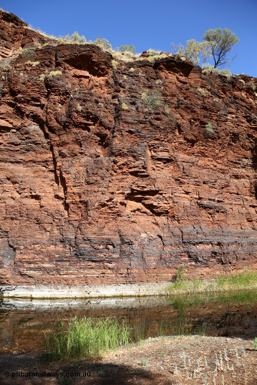 160101 9757
Wittenoom Gorge, Joffre Creek, Fourth Crossing Pool on the west side of the gorge on Bolitho Road. Geodata: [url=https://goo.gl/maps/nzPjhQjuRL12] -22.2804483 118.3212850 [/url]
