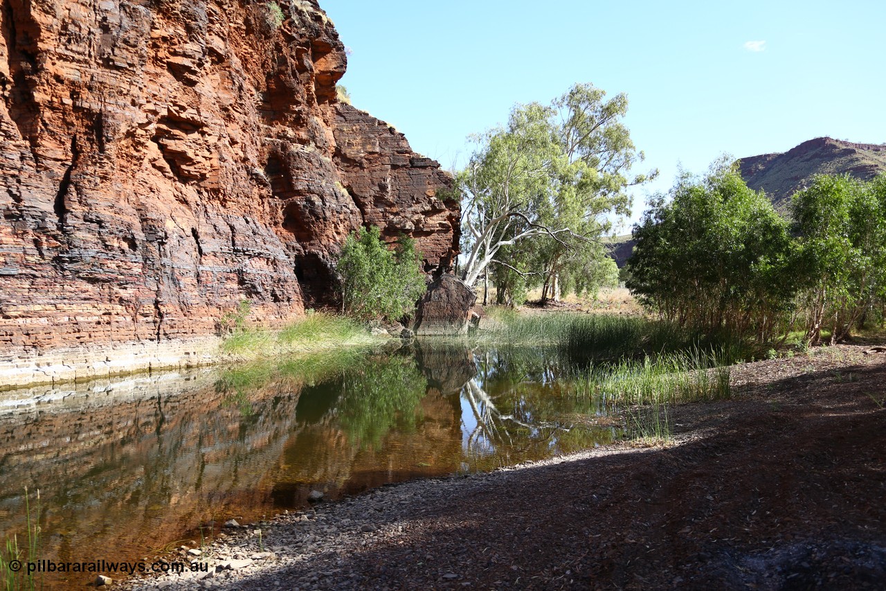 160101 9758
Wittenoom Gorge, Joffre Creek, Fourth Crossing Pool view of the western wall gorge, via Bolitho Road. Geodata: [url=https://goo.gl/maps/nzPjhQjuRL12] -22.2804483 118.3212850 [/url]
