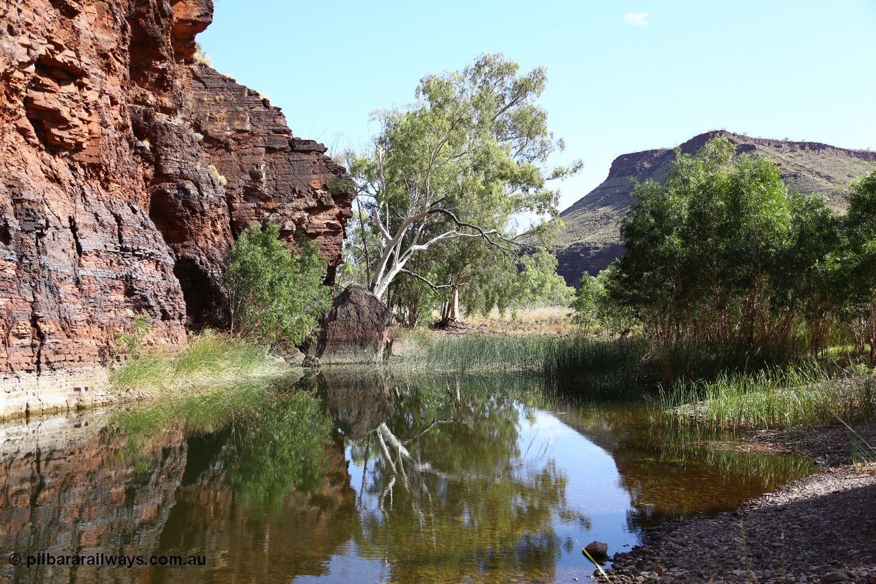 160101 9759
Wittenoom Gorge, Joffre Creek, Fourth Crossing Pool view of the western wall gorge, via Bolitho Road. Geodata: [url=https://goo.gl/maps/nzPjhQjuRL12] -22.2804483 118.3212850 [/url]
