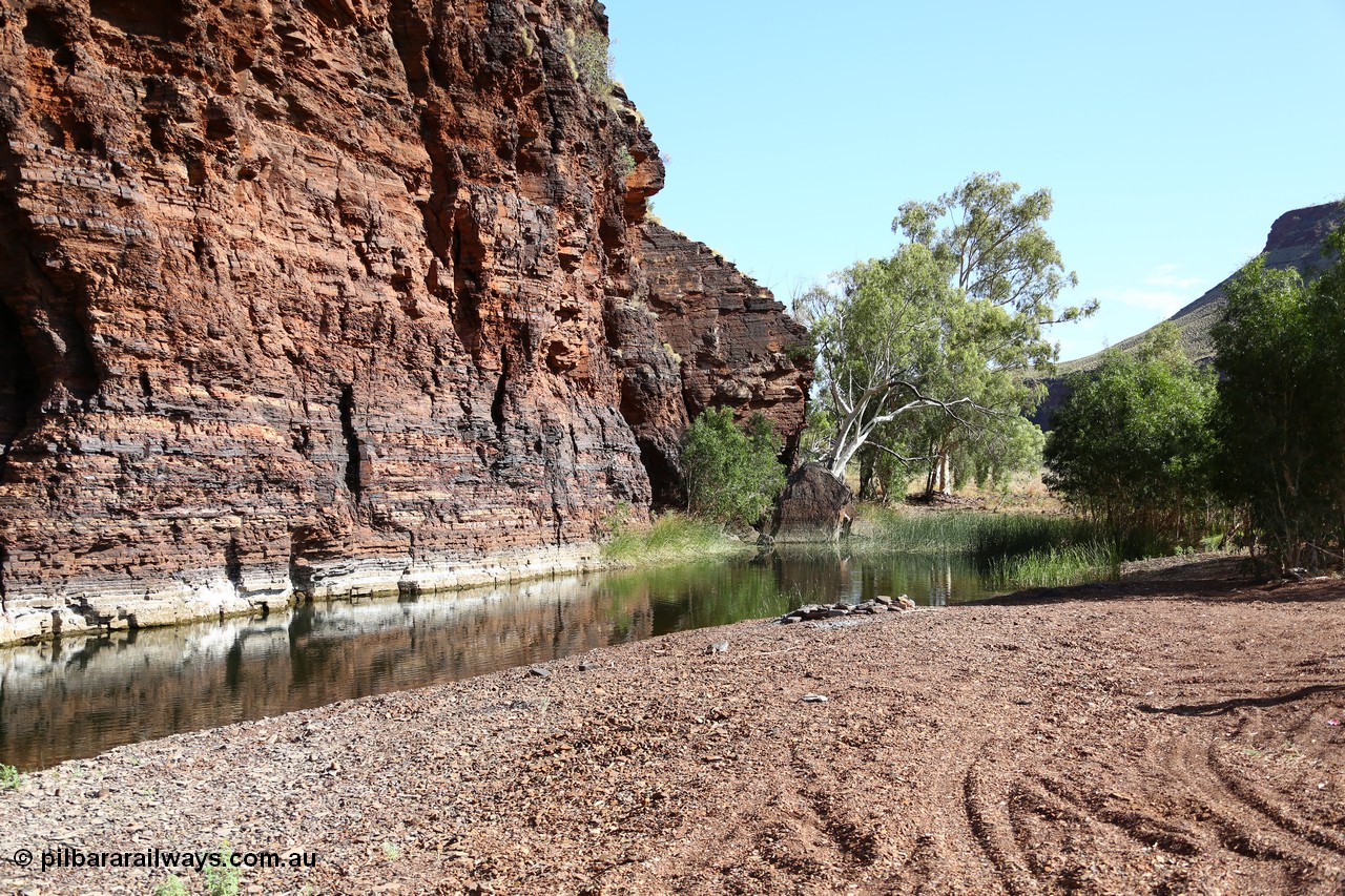 160101 9760
Wittenoom Gorge, Joffre Creek, Fourth Crossing Pool view of the western wall gorge, via Bolitho Road. Geodata: [url=https://goo.gl/maps/nzPjhQjuRL12] -22.2804483 118.3212850 [/url]
