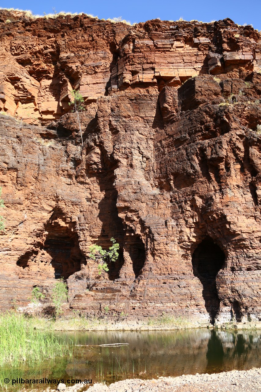 160101 9761
Wittenoom Gorge, Joffre Creek, Fourth Crossing Pool view of the western wall gorge, via Bolitho Road. Geodata: [url=https://goo.gl/maps/nzPjhQjuRL12] -22.2804483 118.3212850 [/url]
