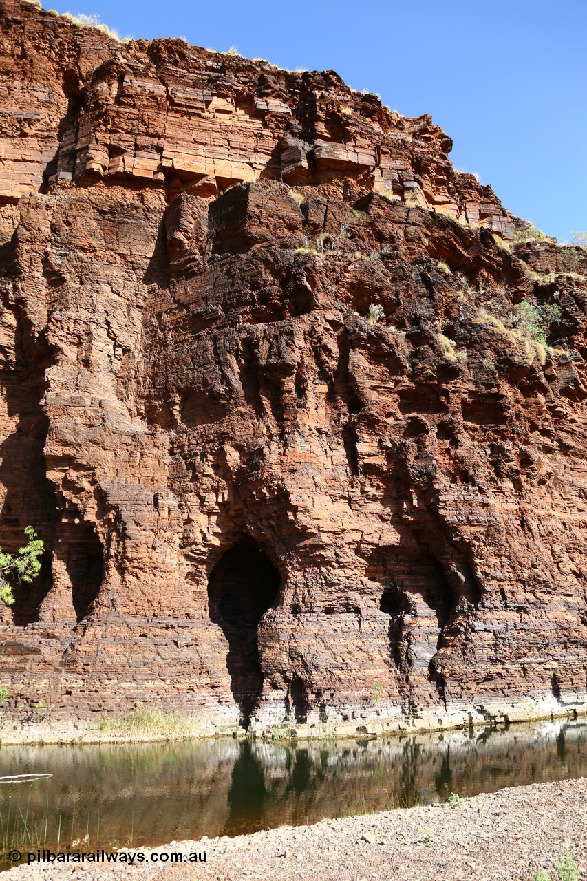 160101 9762
Wittenoom Gorge, Joffre Creek, Fourth Crossing Pool view of the western wall gorge, via Bolitho Road. Geodata: [url=https://goo.gl/maps/nzPjhQjuRL12] -22.2804483 118.3212850 [/url]
