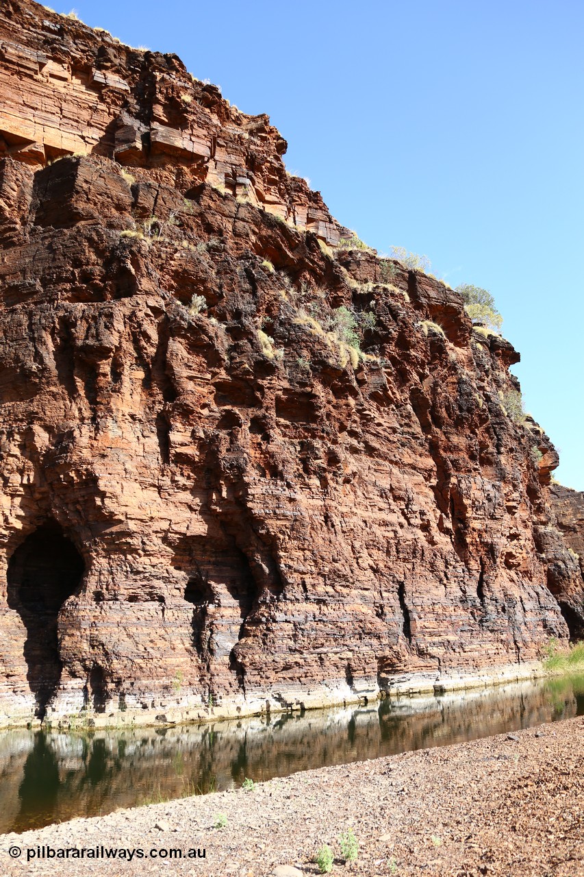 160101 9763
Wittenoom Gorge, Joffre Creek, Fourth Crossing Pool view of the western wall gorge, via Bolitho Road. Geodata: [url=https://goo.gl/maps/nzPjhQjuRL12] -22.2804483 118.3212850 [/url]
