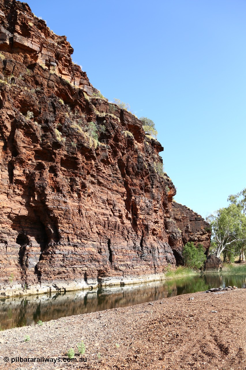 160101 9764
Wittenoom Gorge, Joffre Creek, Fourth Crossing Pool view of the western wall gorge, via Bolitho Road. Geodata: [url=https://goo.gl/maps/nzPjhQjuRL12] -22.2804483 118.3212850 [/url]
