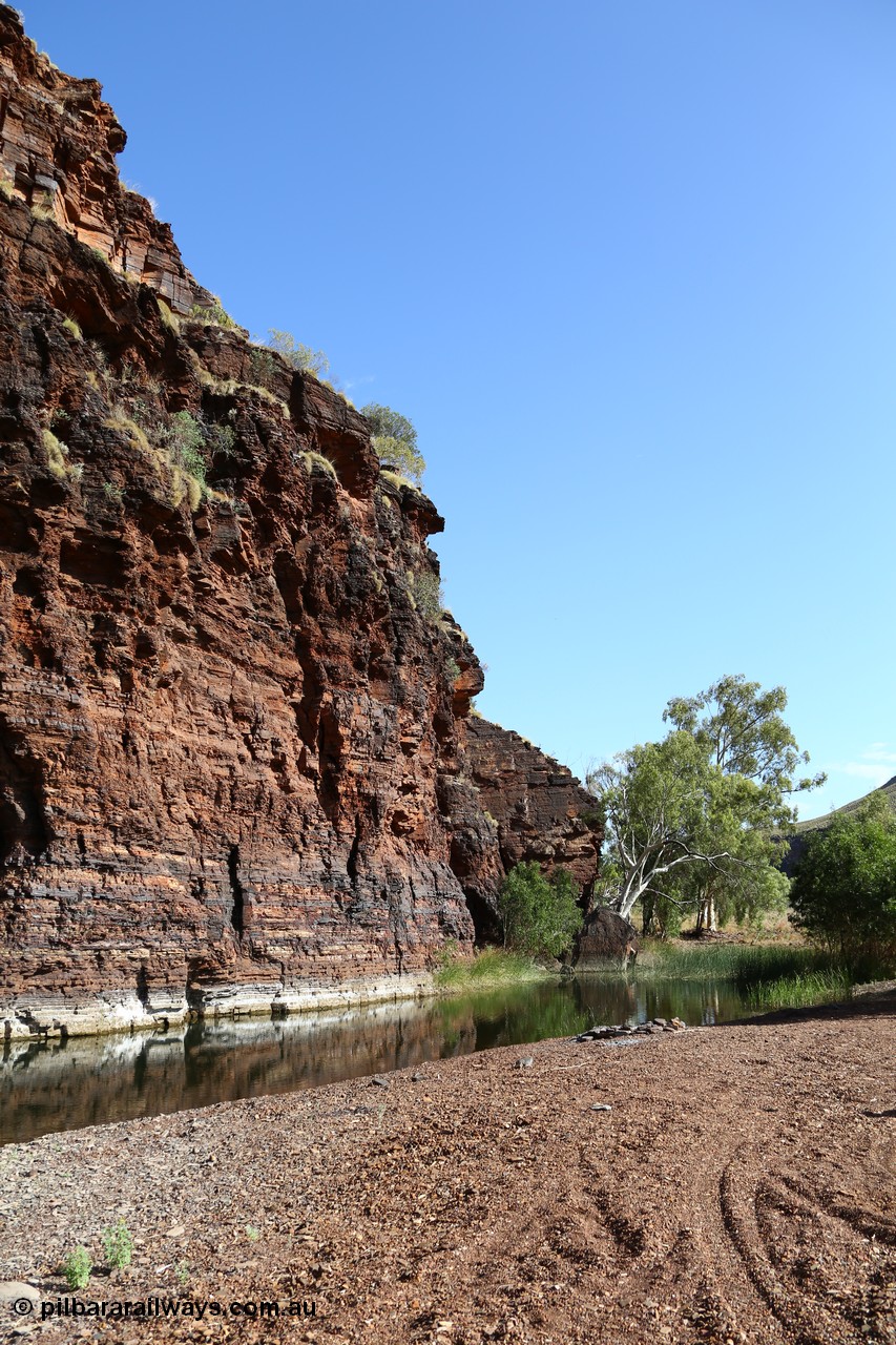 160101 9765
Wittenoom Gorge, Joffre Creek, Fourth Crossing Pool view of the western wall gorge, via Bolitho Road. Geodata: [url=https://goo.gl/maps/nzPjhQjuRL12] -22.2804483 118.3212850 [/url]
