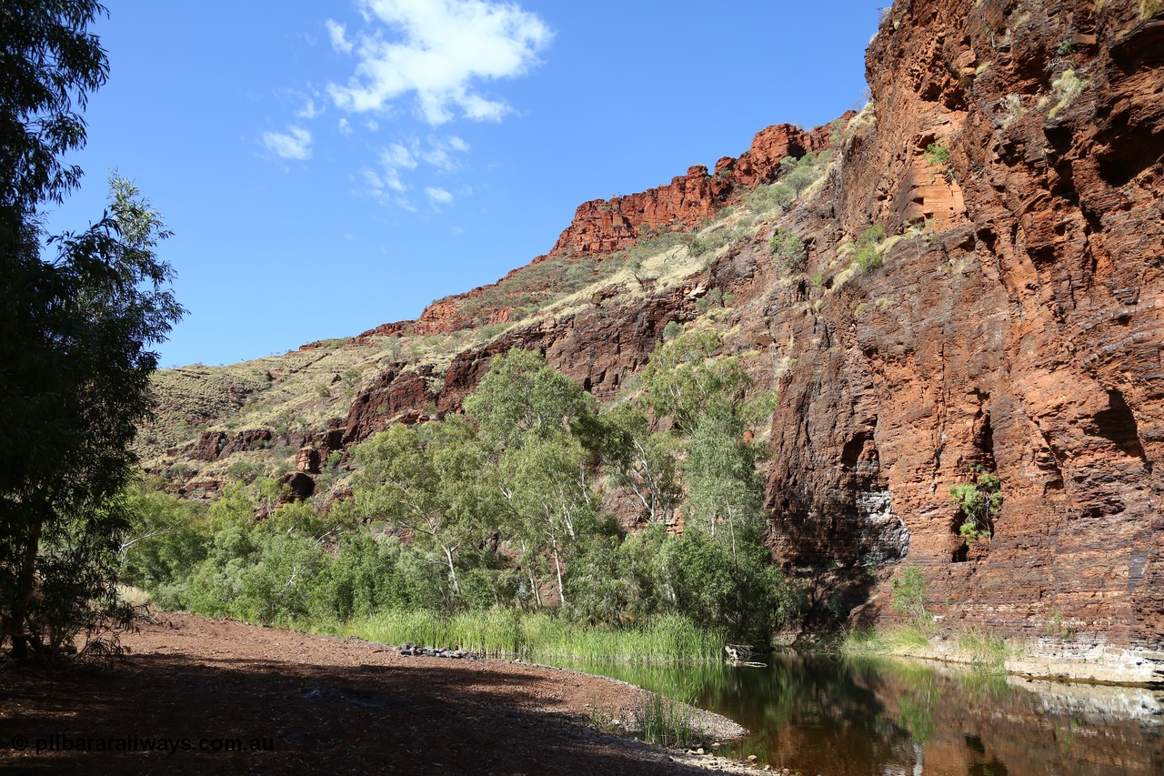 160101 9766
Wittenoom Gorge, Joffre Creek, Fourth Crossing Pool view of the western wall gorge, via Bolitho Road. Geodata: [url=https://goo.gl/maps/nzPjhQjuRL12] -22.2804483 118.3212850 [/url]
