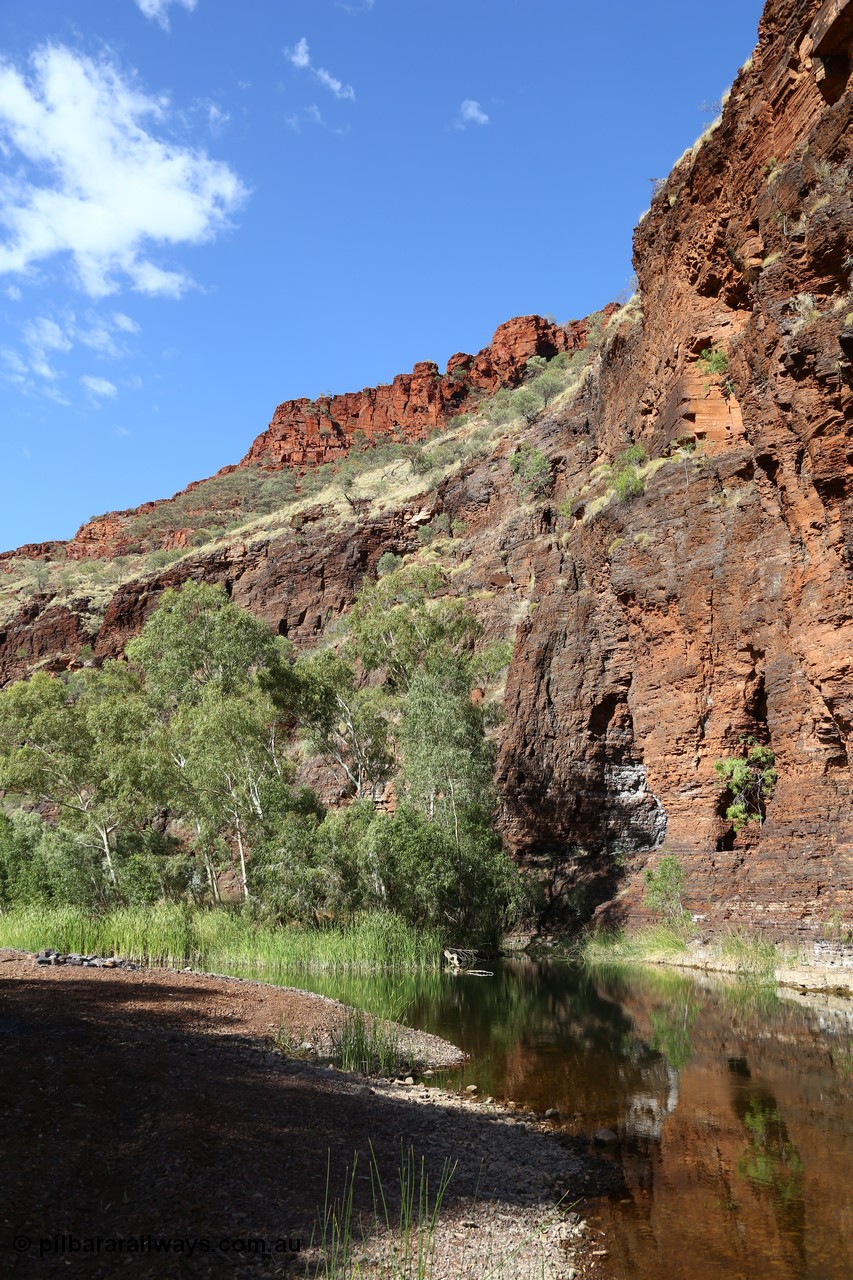 160101 9767
Wittenoom Gorge, Joffre Creek, Fourth Crossing Pool view of the western wall gorge, via Bolitho Road. Geodata: [url=https://goo.gl/maps/nzPjhQjuRL12] -22.2804483 118.3212850 [/url]
