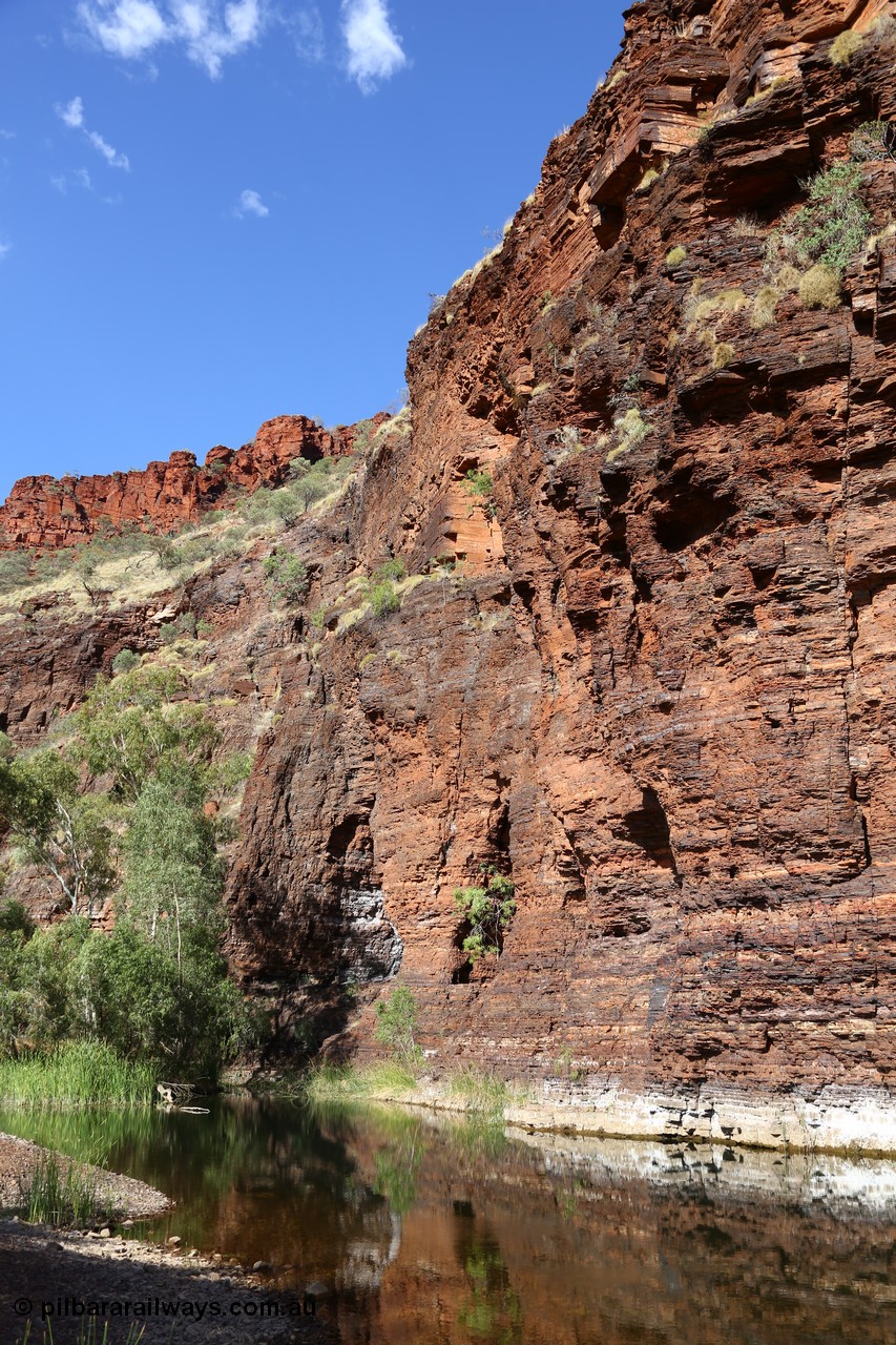 160101 9768
Wittenoom Gorge, Joffre Creek, Fourth Crossing Pool view of the western wall gorge, via Bolitho Road. Geodata: [url=https://goo.gl/maps/nzPjhQjuRL12] -22.2804483 118.3212850 [/url]
