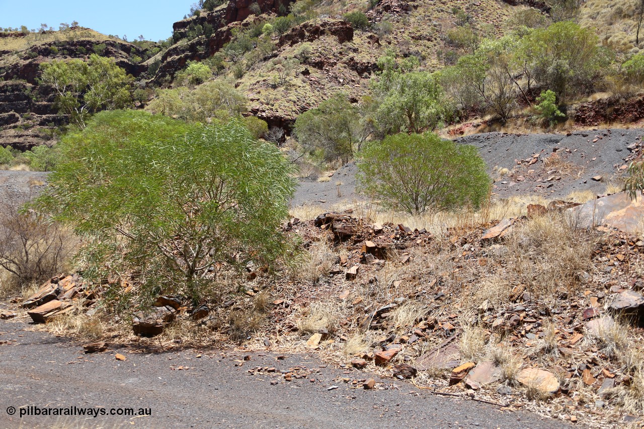 160101 9805
Wittenoom Gorge, Gorge Mine area, looking north, the line of the drive is visible and in the middle background is adit #6. [url=https://goo.gl/maps/5iicGGMSnsA2sEKU9]GeoData[/url].
