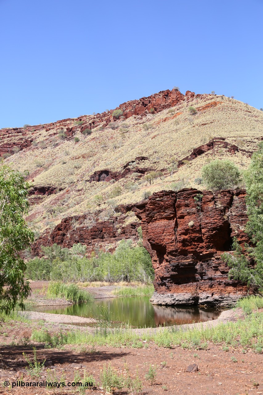 160102 9812
Wittenoom Gorge, Town Pool in Joffre Creek just south of the Colonial Mine. [url=https://goo.gl/maps/AutgczJup1oceeSa9]Geodata[/url].
