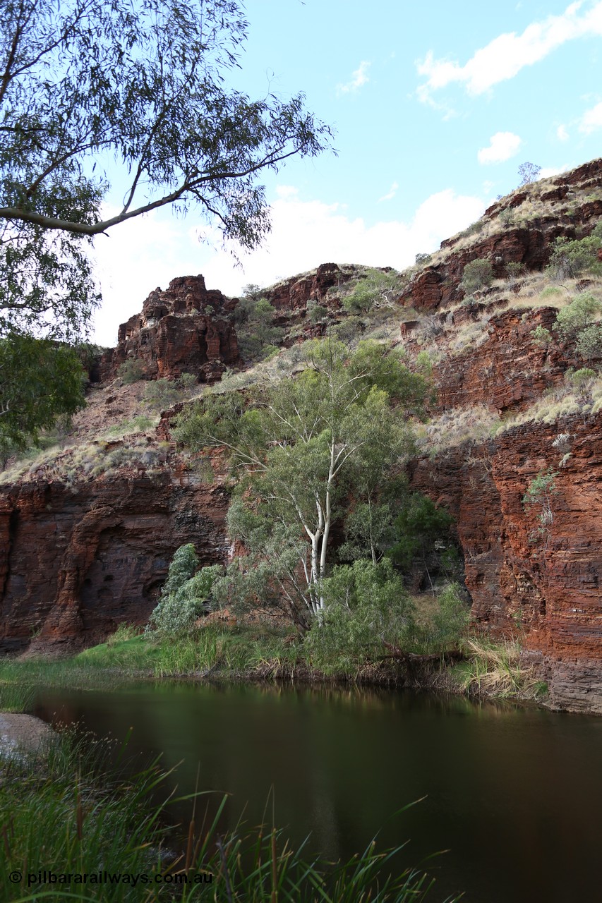 160102 9818
Wittenoom Gorge, pool in Joffre Creek just across the road from Colonial Mine, Magazine Pool. [url=https://goo.gl/maps/nJSvqbS8mztnHL4E9]Geodata[/url].
