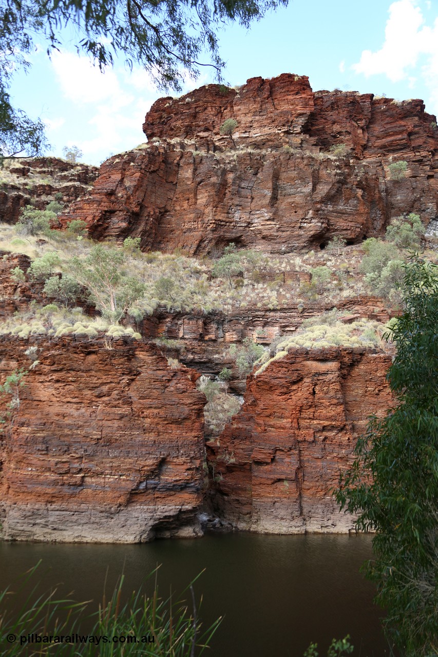 160102 9819
Wittenoom Gorge, pool in Joffre Creek just across the road from Colonial Mine, Magazine Pool. [url=https://goo.gl/maps/nJSvqbS8mztnHL4E9]Geodata[/url].
