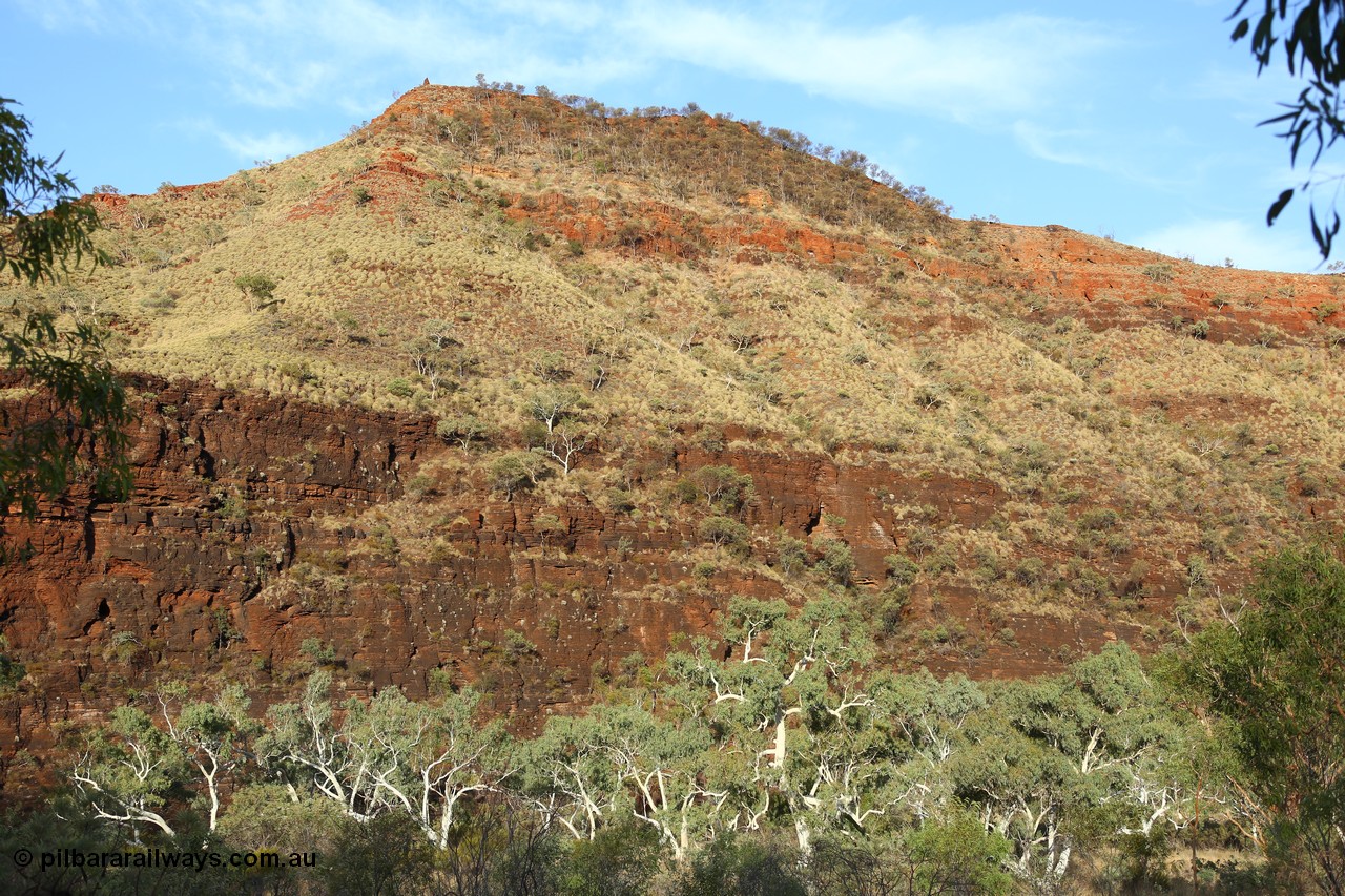 160102 9821
Wittenoom Gorge, eastern wall of gorge view, around Fifth Crossing. [url=https://goo.gl/maps/uG55Vvny2YrT4GGbA]Geodata[/url].
