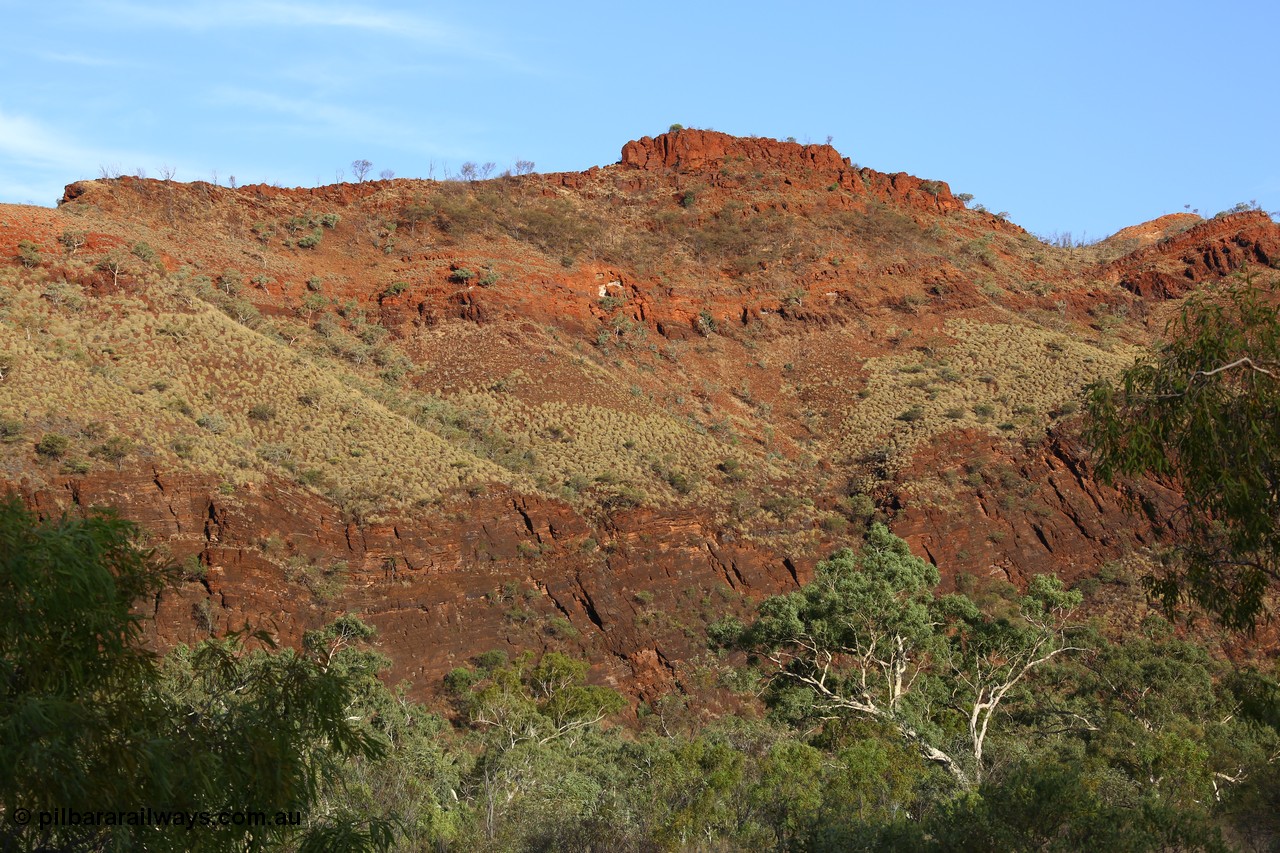 160102 9823
Wittenoom Gorge, eastern wall of gorge view, around Fifth Crossing. [url=https://goo.gl/maps/uG55Vvny2YrT4GGbA]Geodata[/url].
