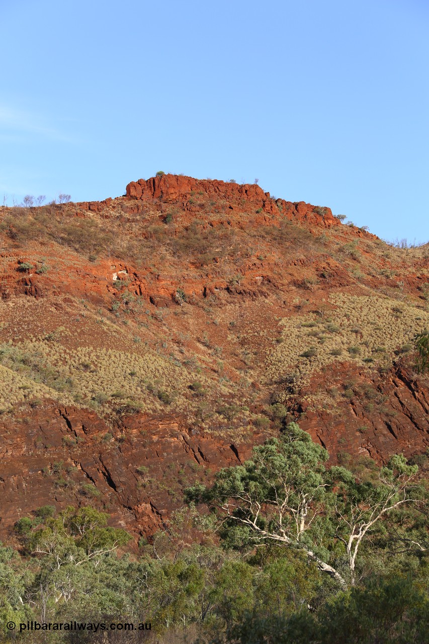 160102 9825
Wittenoom Gorge, eastern wall of gorge view, around Fifth Crossing. [url=https://goo.gl/maps/uG55Vvny2YrT4GGbA]Geodata[/url].
