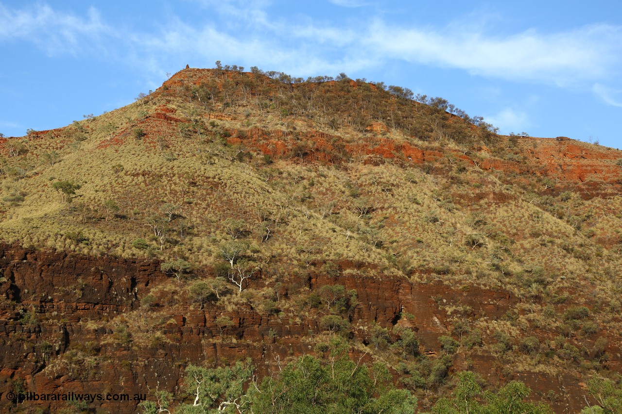 160102 9826
Wittenoom Gorge, eastern wall of gorge view, around Fifth Crossing. [url=https://goo.gl/maps/uG55Vvny2YrT4GGbA]Geodata[/url].
