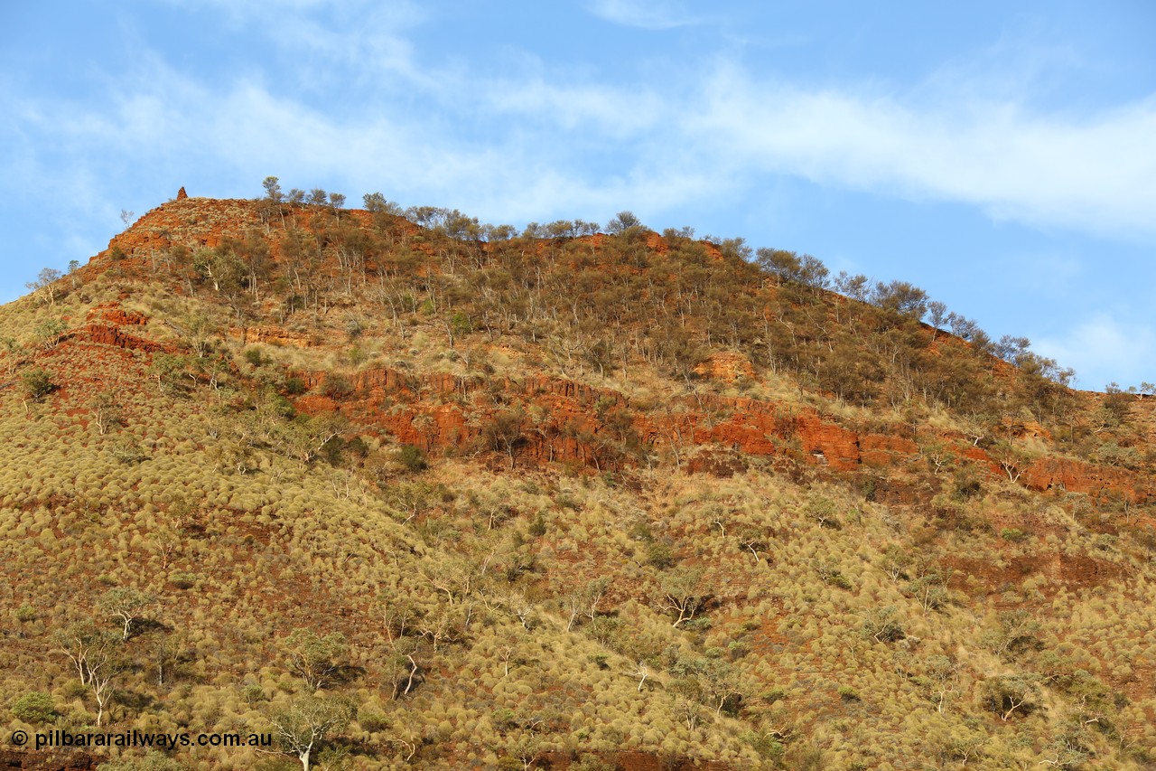 160102 9827
Wittenoom Gorge, eastern wall of gorge view, around Fifth Crossing. [url=https://goo.gl/maps/uG55Vvny2YrT4GGbA]Geodata[/url].
