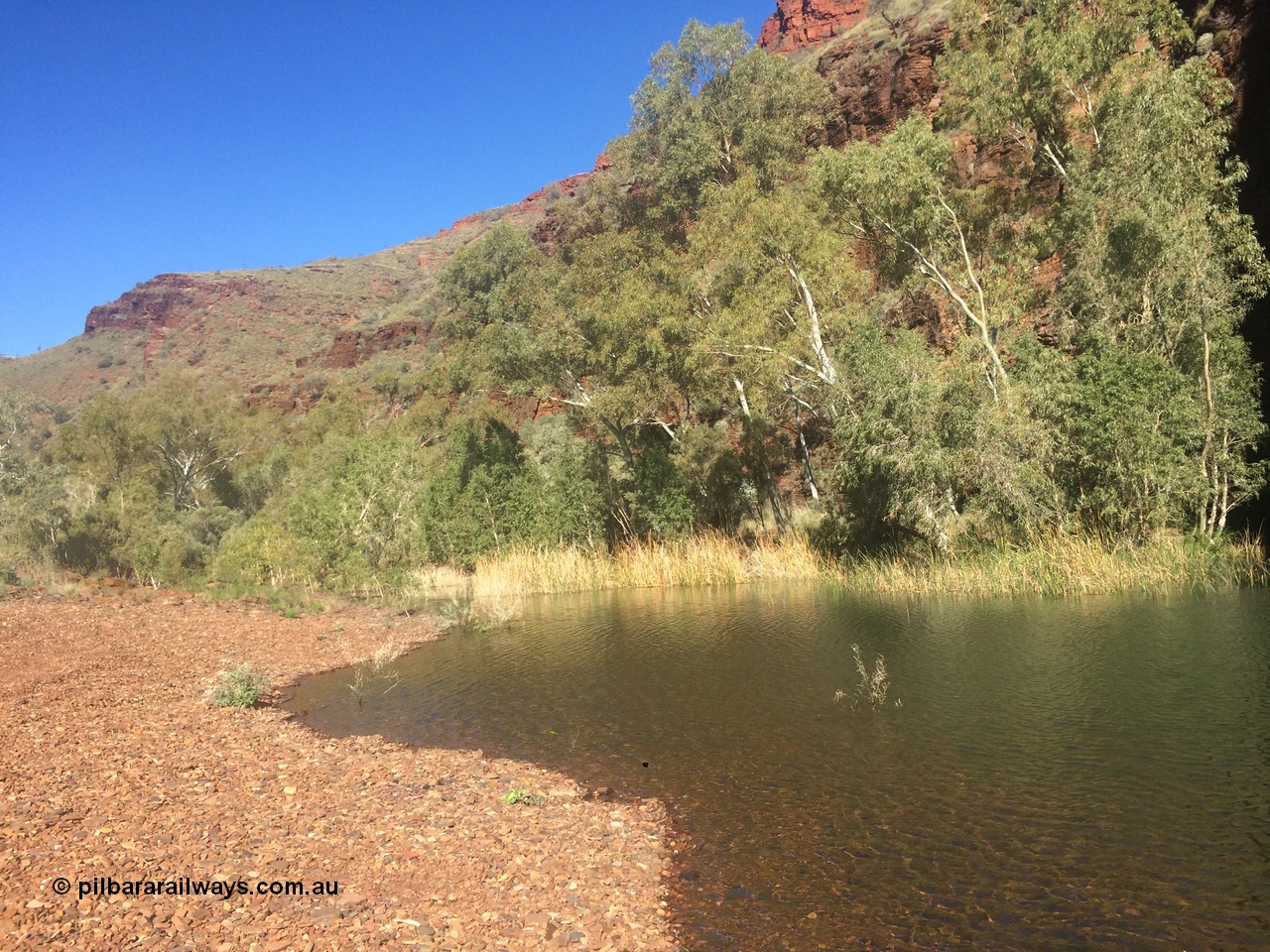 160710 iPh5S 2786
Wittenoom Gorge, Pyramid Pool looking south along the western wall of the gorge. [url=https://goo.gl/maps/wETwEHjHqzG53WNf8]Geodata[/url].
