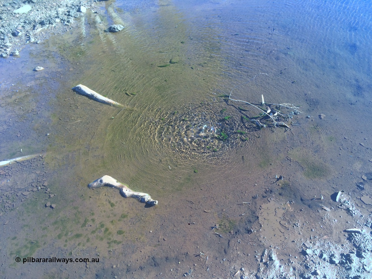 160711 iPh5S 2827
Natural spring or soak just north east of the old Wittenoom pump station bubbling water at the surface. [url=https://goo.gl/maps/e6Td258kJZs2mdZS7]Location is here[/url].
