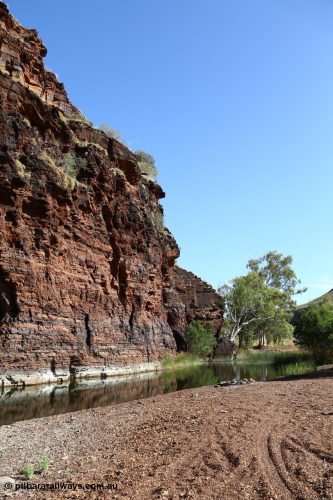 160101 9765
Wittenoom Gorge, Joffre Creek, Fourth Crossing Pool view of the western wall gorge, via Bolitho Road. Geodata: [url=https://goo.gl/maps/nzPjhQjuRL12] -22.2804483 118.3212850 [/url]
