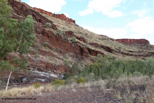 160102 9820
Wittenoom Gorge, pool in Joffre Creek just across the road from Colonial Mine, Magazine Pool. [url=https://goo.gl/maps/nJSvqbS8mztnHL4E9]Geodata[/url].
