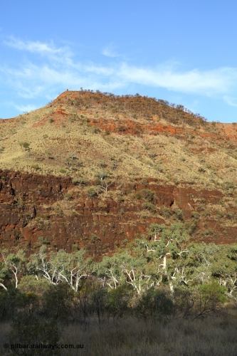 160102 9822
Wittenoom Gorge, eastern wall of gorge view, around Fifth Crossing. [url=https://goo.gl/maps/uG55Vvny2YrT4GGbA]Geodata[/url].
