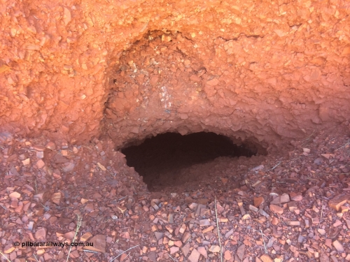 160710 iPh5S 2789
Wittenoom Gorge, old exposed mine adit of the Gorge Mine which was right up the very top of Wittenoom Gorge. [url=https://goo.gl/maps/Rzcuyxxsjj1QdKVc7]Geodata[/url].

