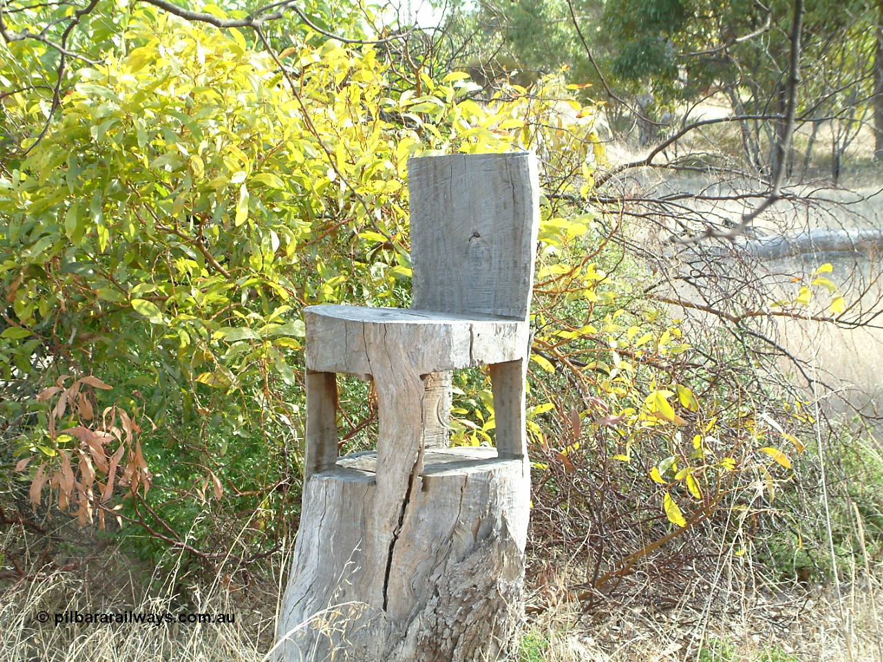 030406 091433
Yeelanna, chainsaw art chair by CBH workers. 6th April 2003.
